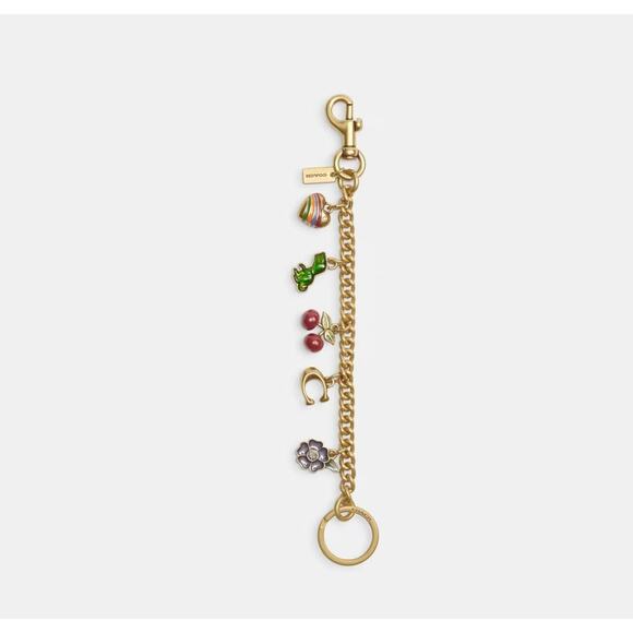 Coach Motif Chain Bag Charm In Metal/Brass/Multi Heart Cherry C CN119 NWT - Picture 1 of 7